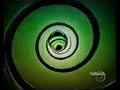 Little Einsteins Na Rede GLOBO EM 2012 1