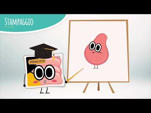 Parmacotto Educational