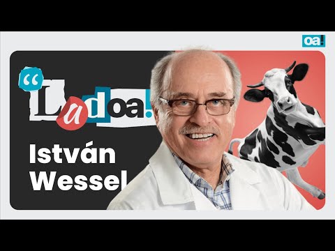 Ladoa! - Madeleine Lacsko recebe István Wessel