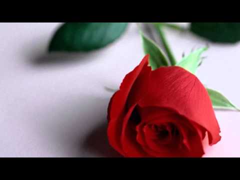 Dost Mc ft Grafix - Trendafil dashurie [ Official song 2013 ]