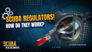 How SCUBA Regulators Work: Inside The Tech That Keeps Divers Breathing