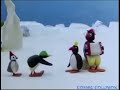 Pingu 53 Fiestatatataatatat