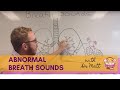 Abnormal Breath Sounds | Respiratory System