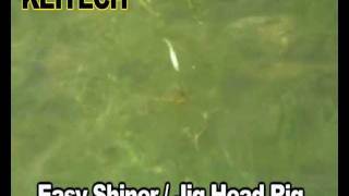 Swimbait Videos