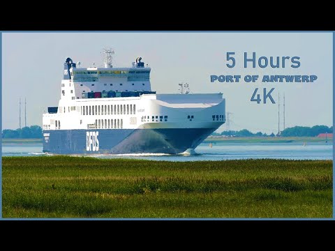 5H - Huge Container Ships in Port of Antwerp - Ship Spotting 4K