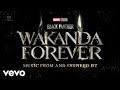 Wake Up From Black Panther Wakanda Forever Music From And Inspired By Visualizer