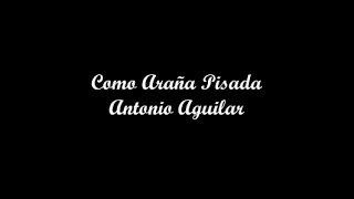 Como Araña Pisada (Like A Stepped On Spider) - Antonio Aguilar (Letra - Lyrics)