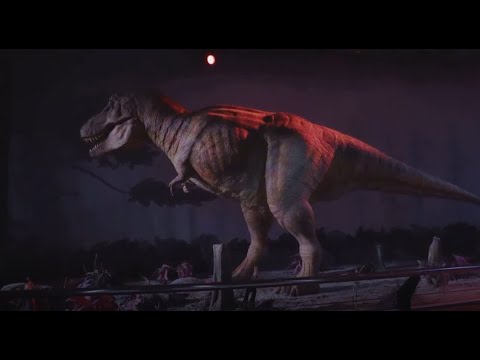 CGI vs VFX vs SFX  Unraveling the Magic!