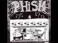 Phish - Icculus