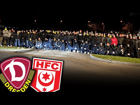 Böllerwurf, Sticheleien & sehenswerte Choreos! (Dresden - Halle 7:1)