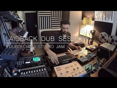 Laidback Dub session # DubTechno studio Jam (Tempest SpaceEcho Prophet6 Perfourmer Strymon..)