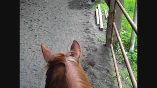 I've got a message 4 ya'll...