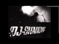 Dj. Shadow - Come On Riding (Through The ...