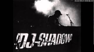 Dj. Shadow - Come On Riding (Through The Cosmos)