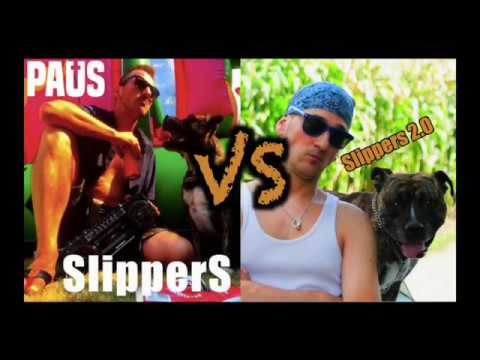 Prins Paus - Slippers 1.0 VS Slippers 2.0 Poll
