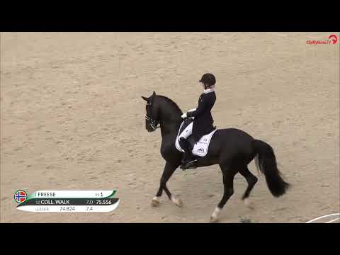 Total Hope OLD med 75% i CDI4* CHIO Aachen