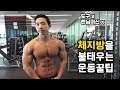 체지방을 불태우는 운동 5가지! FHD화질 (full body exercise)