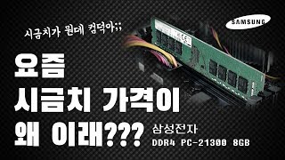 삼성전자 DDR4-2666 (8GB)_동영상_이미지