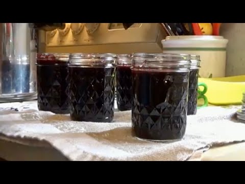 Mulberry Jam Water bath canning recipe. Beginner friendly