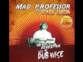 Mad Professor Rude Boy Dub