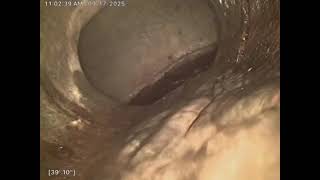 13230 SW HILL COURT TIGARD