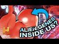 Alien Hybrids The Secret Programs Behind Them Ancient Aliens