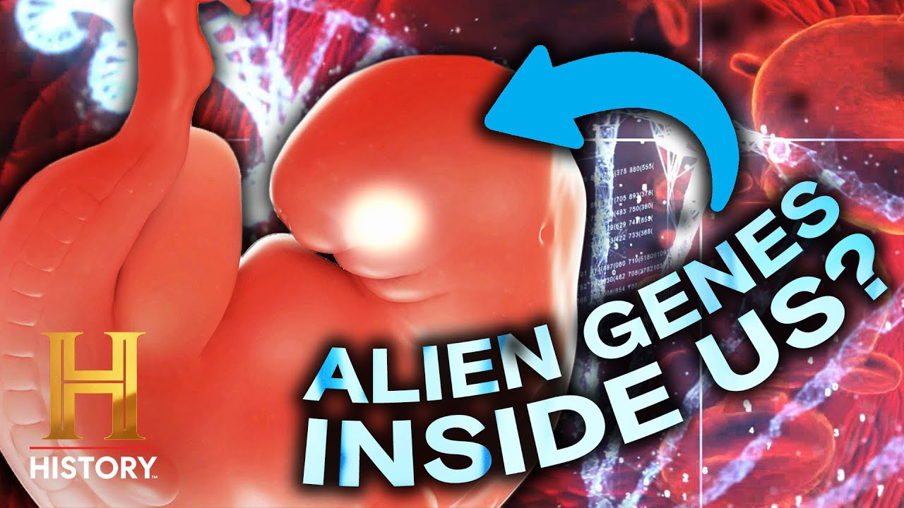 Alien Hybrids & the Secret Programs Behind Them | Ancient Aliens