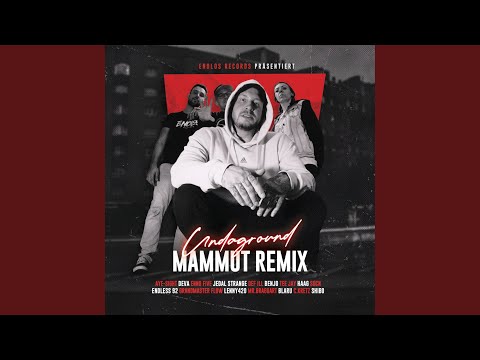 Undaground (feat. C.KRETZ, Mr. Braggart, Def ILL, Enno Five, Socn, DEVA, Teejay, Haag Fv, Jedal...