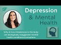 Depression & Mental Health: How Nutritional Deficiencies & Gut Bacteria impact the Brain & Body