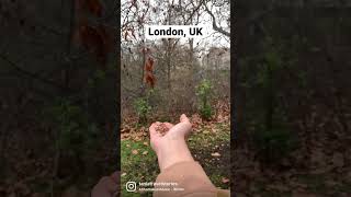London wildlife #travel #travelvlog #hydepark