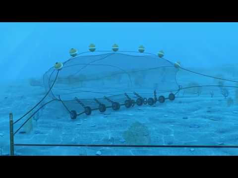 Trawl - Cicilia Imelda Aritonang (1906036070)