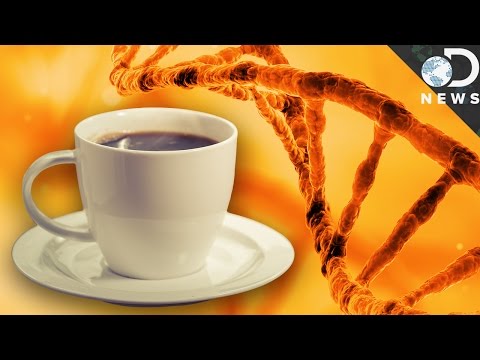 咖啡可以打破你的DNA! (Coffee Can Break Your DNA!)
