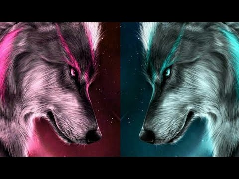 WOLFY - The two