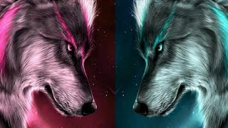 WOLFY - The two