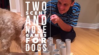 DIY : Make or built the best game for dogs!