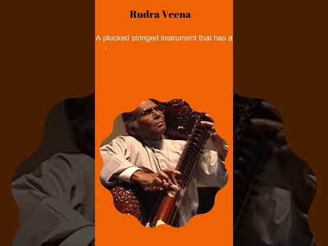 India's Unique Instruments!!! Kahin Ek Saaz Hai Goonji!!! #shorts #music