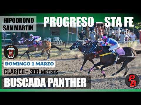 BUSCADA PANTHER: HIPODROMO SAN MARTIN de PROGRESO, SANTA FE (01-03-2026)