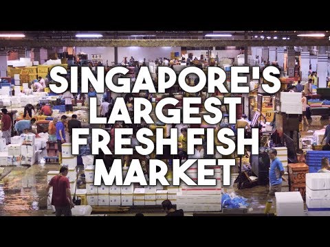 Hai Sia Seafood: Singapore's Own "Tsukiji" Fish Market