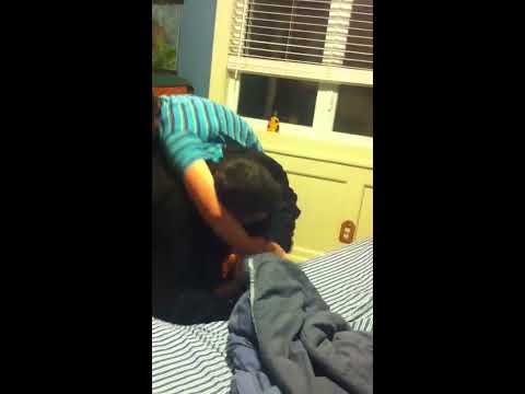 Wrestling: 13 Year Old Boy vs 43 Year Old Man