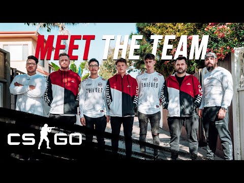 100 Thieves Introduction