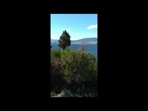 Construí tu casa frente al Lago Huechulafquen