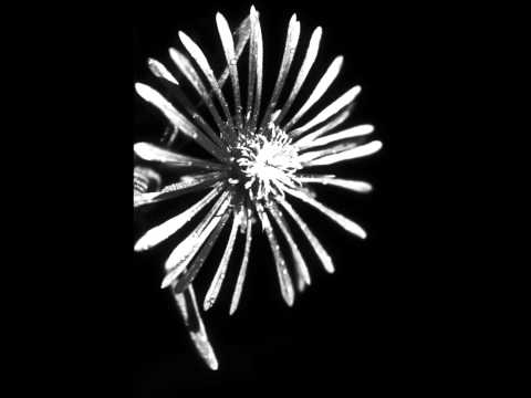 Marillion - Sympathy (Acoustic)