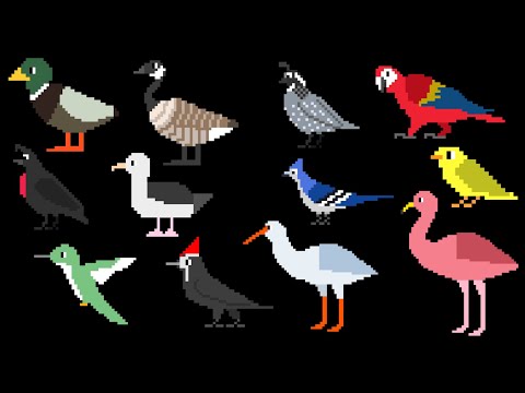 Birds 3 - @TheKidsPictureShow 