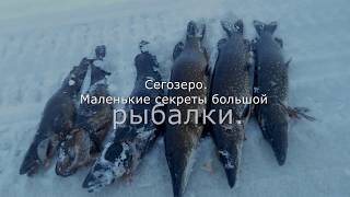 Размер одинарного крючка для жерлицы