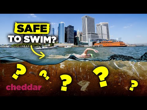 NYC’s Hudson River: Clean Enough To Swim In? - Cheddar Explains