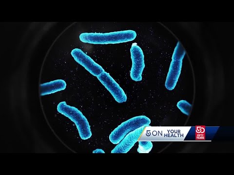 Mass. hospital turns to maggots to save man’s life