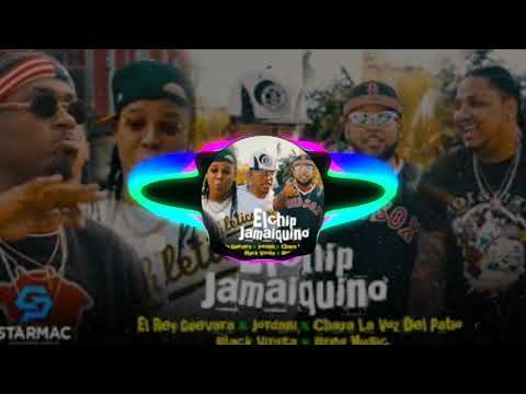El Chip Jamaiquino - El Rey Guevara x Jordani x Chapa y Más ( Official Audio )