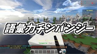 新年早々に黒歴史を生み出してしまう男【マインクラフト】【スカイウォーズ】