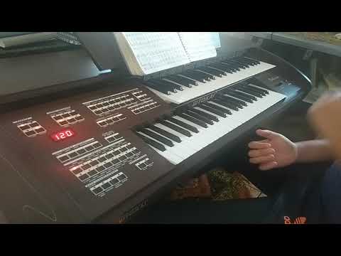 Dicas e Registrações - Culto - Tokai D-2 Classic - Parte I