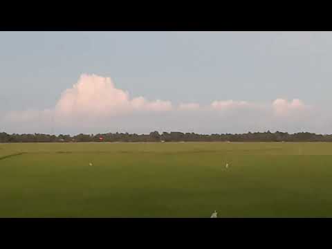 Con bay 20 lít phun thuốc trừ sâu trên lúa ST25 vào buổi chiều tối rất hiệu quả.